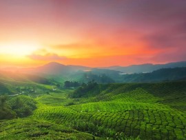 Sri krishna Tours & Travels in Guruvayoor