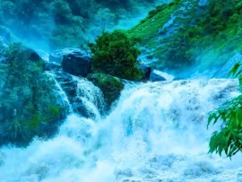 Sri krishna Tours & Travels in Guruvayoor
