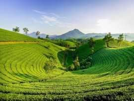 Sri krishna Tours & Travels