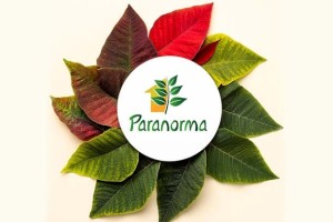 Paranorma Biotech