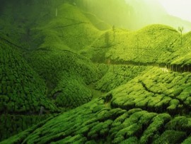 Sri krishna Tours & Travels in Guruvayoor